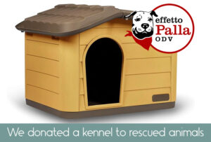 Effetto palla kennel