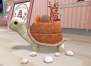 Potted ~ Tiny Turtle Succulent Pot - Orange