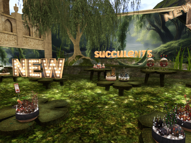 Stalls That Sell — Success is Decorated, Not Just Hoped For – By Illy from GOE