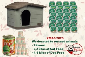 bakery woods XMAS donations