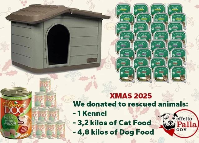 Details on Kennel + Food Donation to Rescued Animals – December, 2025
