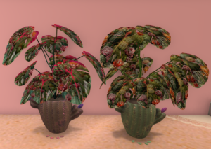 benefit pot april 2026 monstera