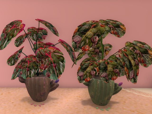 Benefit Pot Auctions + Superstar Seed Bingo Event Schedule – April 2026